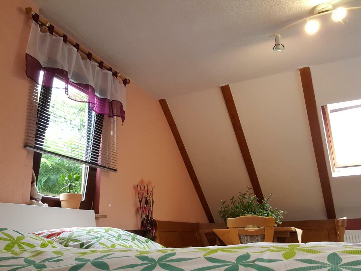 Ferienhaus Am Kirchberg Kurort Steinbach-Hallenberg ภายนอก รูปภาพ